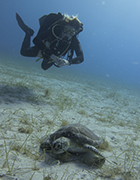 Try tech diving as part of the Divemaster Internship in Cyprus